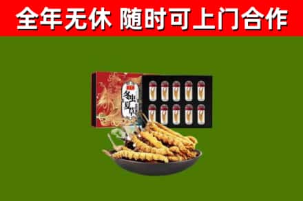 南充回收冬虫夏草价格